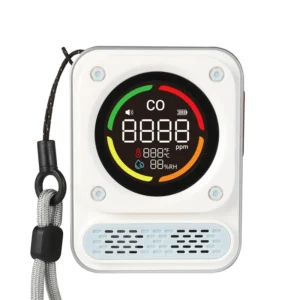 Máy dò khí Carbon Monoxide BH-X01